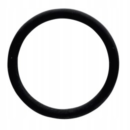 Oring massey ferguson 70815380 granite