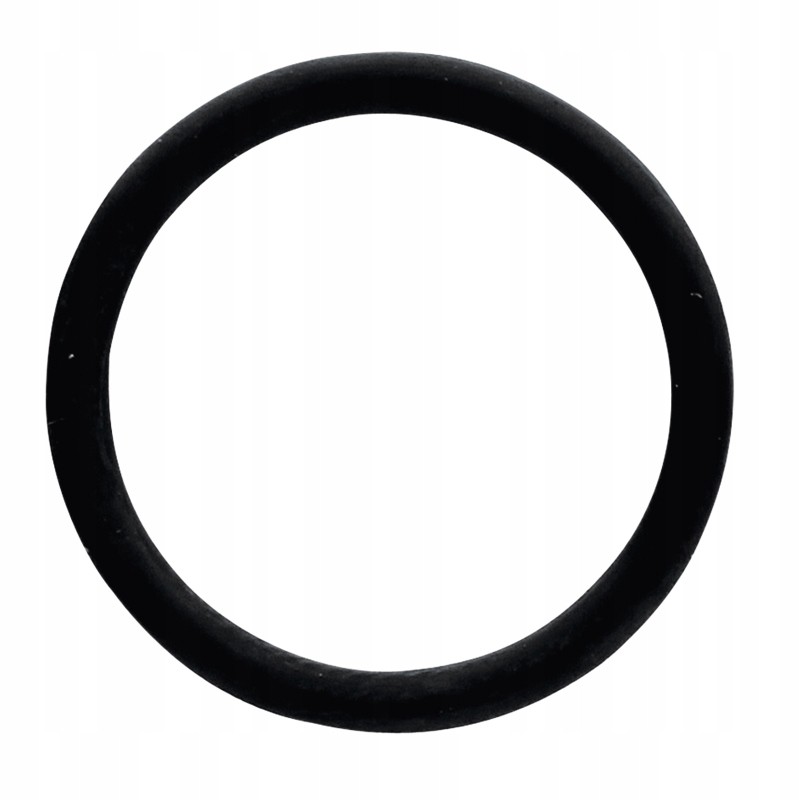 Oring massey ferguson 70815380 granite