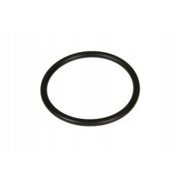 F100001174706 fuel pump o-ring