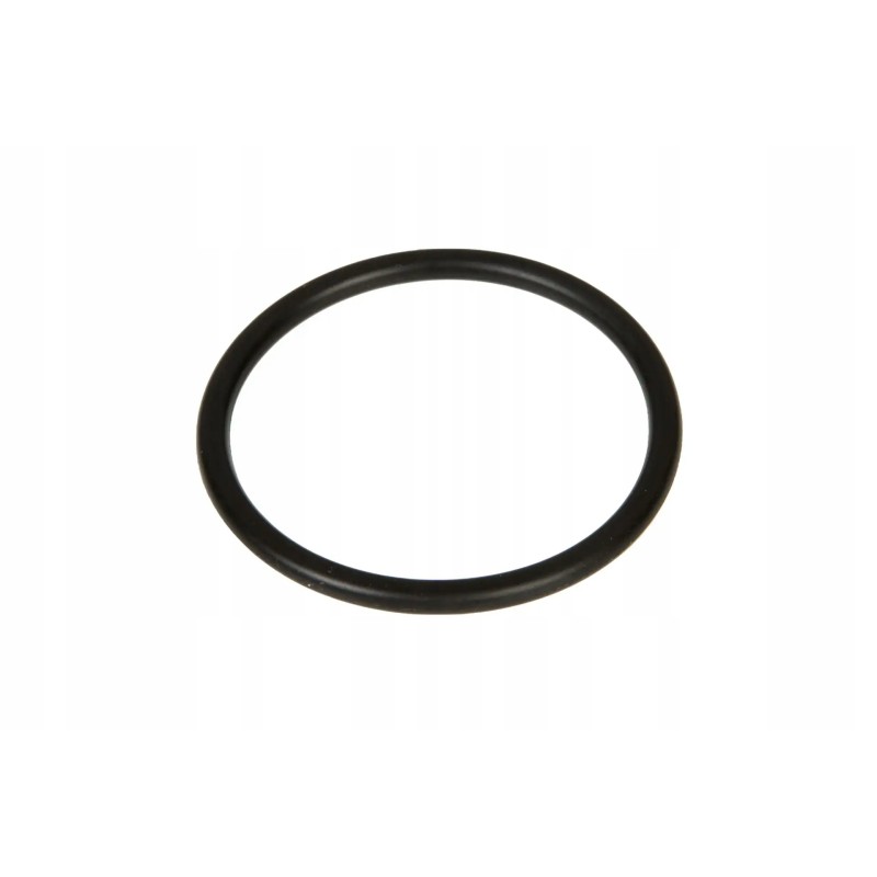 F100001174706 fuel pump o-ring