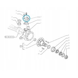 Kingpin pin New Holland TD Case 5122540