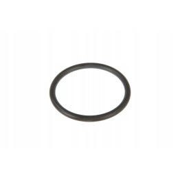 F312200710050 fuel pump o-ring