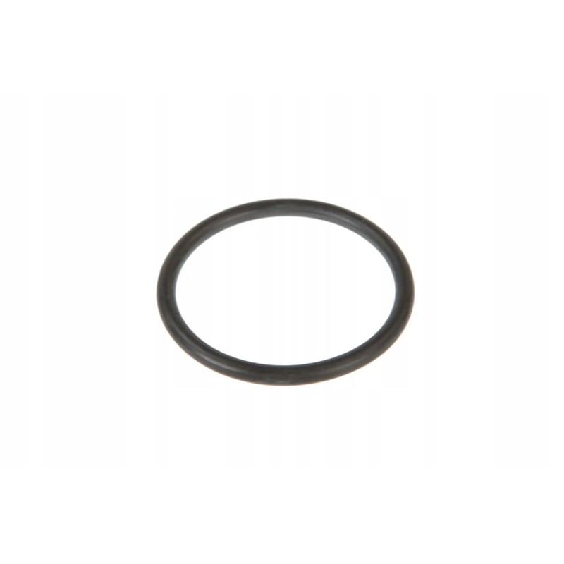 F312200710050 fuel pump o-ring