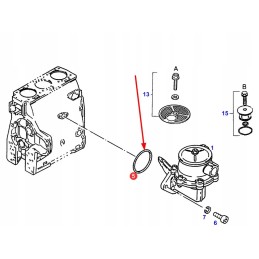 F312200710050 fuel pump o-ring