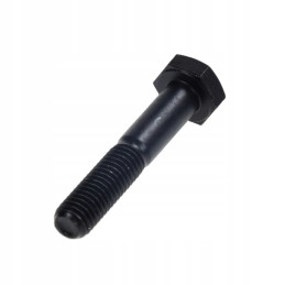 Screw M10 Claas 233572 0 units