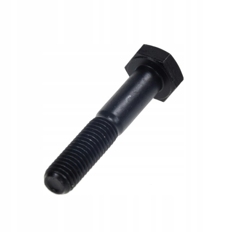 Screw M10 Claas 233572 0 units