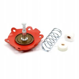Repair kit for mf3 47pmo3r feed pump