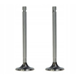 Suction valve for c 330, pack of 2, 50008470 pairs