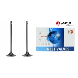 Suction valve for c 330, pack of 2, 50008470 pairs