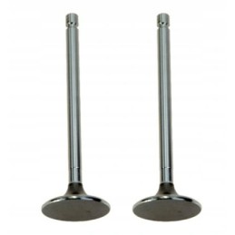 Suction valve for c 330, pack of 2, 50008470 pairs