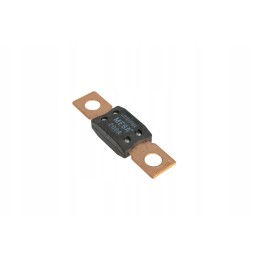 016149 0 screw-on fuse 200a