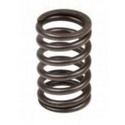 Valve spring ford bsd333 bsd444 bsd666