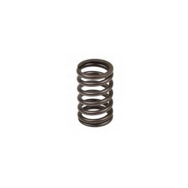 Valve spring ford bsd333 bsd444 bsd666