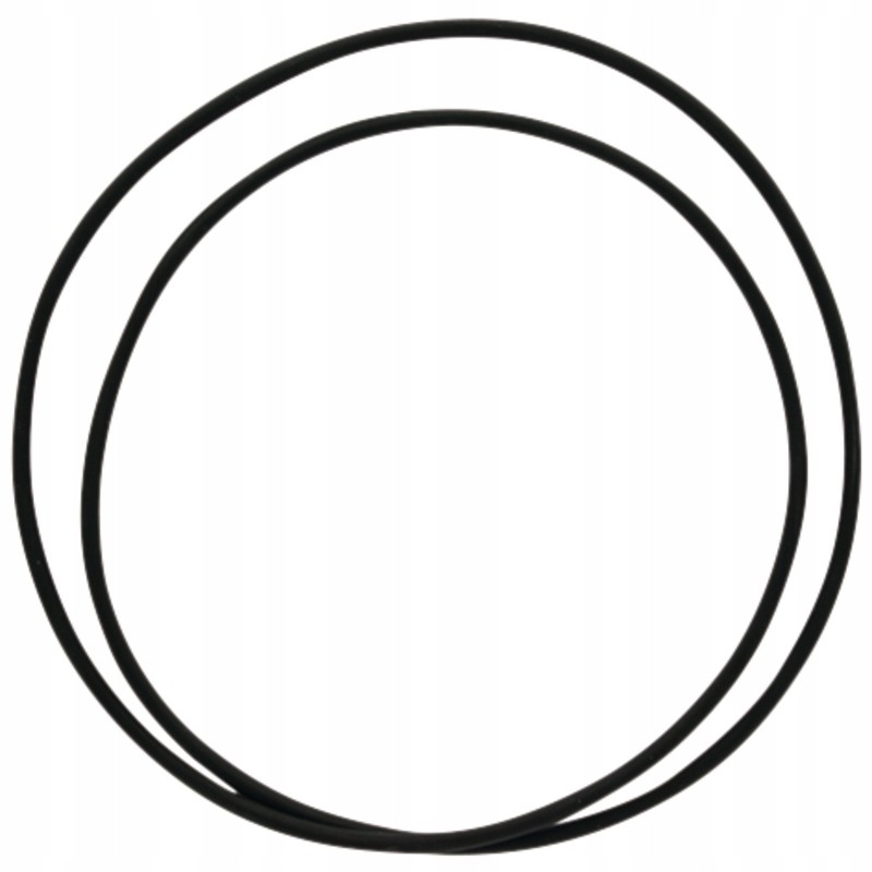 O-ring hub 159001 05 1119 dana spicer