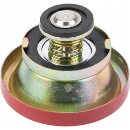 Radiator cap 1874445m94gp