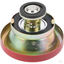 Radiator cap 1874445m94gp