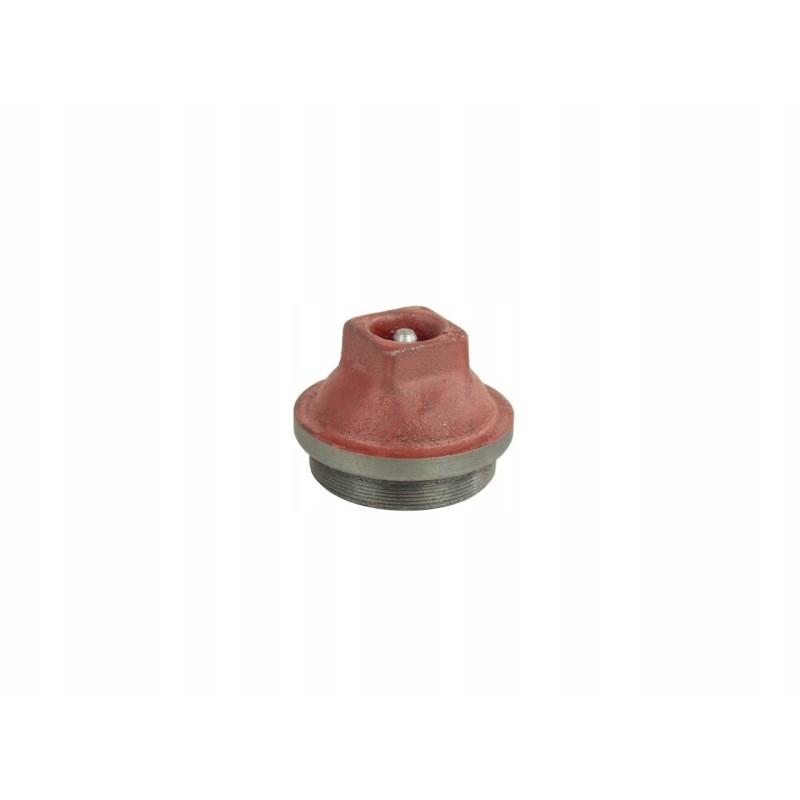 Wheel hub cover complete 893979m91
