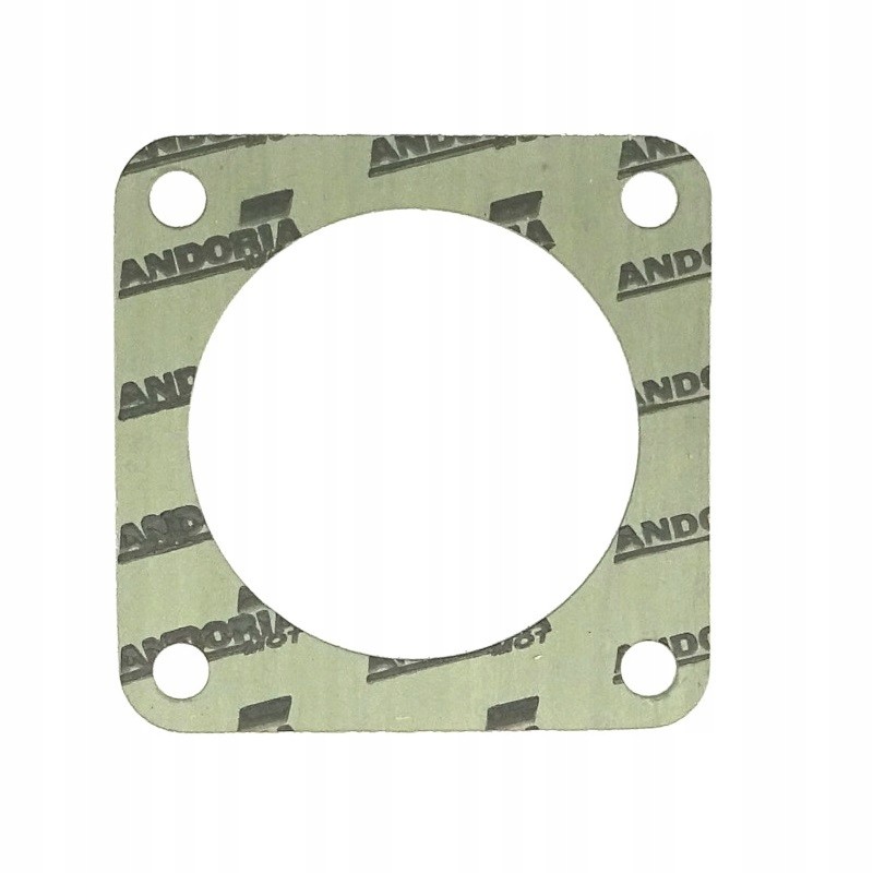 Krazelite gear lever bearing seal