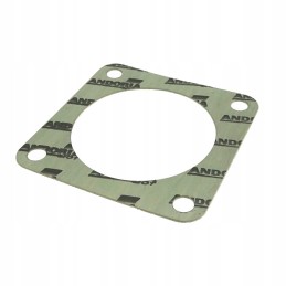 Krazelite gear lever bearing seal