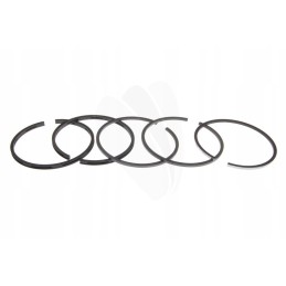 Set of piston rings for c 360 prima n12326