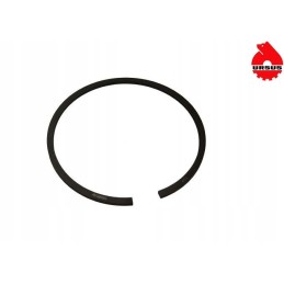 Lifter piston ring 54612004 973134 80 00