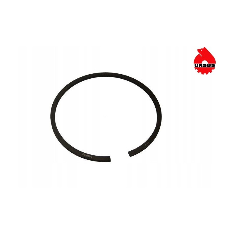 Lifter piston ring 54612004 973134 80 00