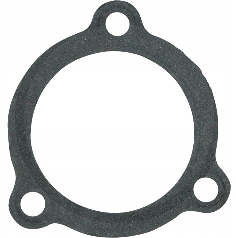 Ursus C 330 thermostat housing gasket