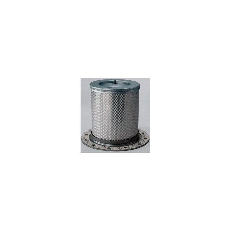 Donaldson P525530 air filter