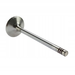 Intake valve Kloeckner Humboldt Deutz Andoria mot