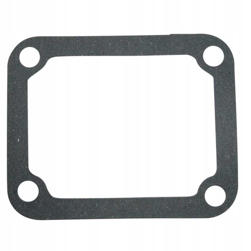 Side head cover gasket 80005022