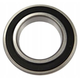 Bearing 6009 2rs