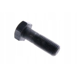 Flywheel bolt c 330 50005580