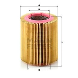 Jaguar Mann air filter