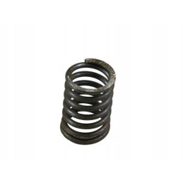 Valve spring mf3 0780006 7800006