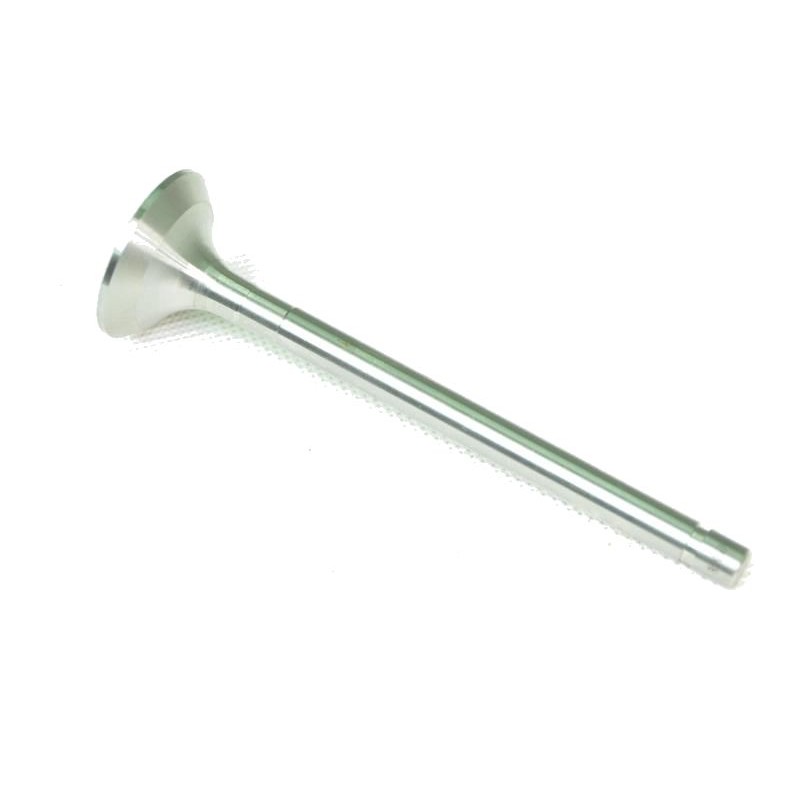 Agro mar exhaust valve for t 25 engine