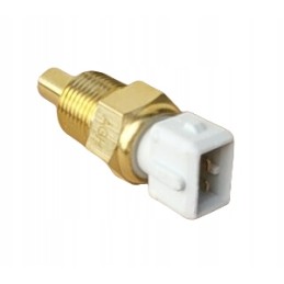 Temperature sensor plug 2pin dytzs 02m mtz