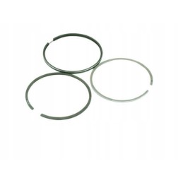 Set of engine rings fi 110 c 385