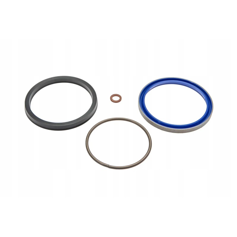1810898m91 lift cylinder seals