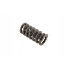 631564 0 main valve spring