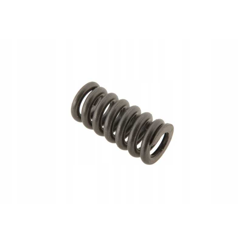 631564 0 main valve spring