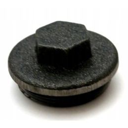 Gearbox cover cap Polish mf