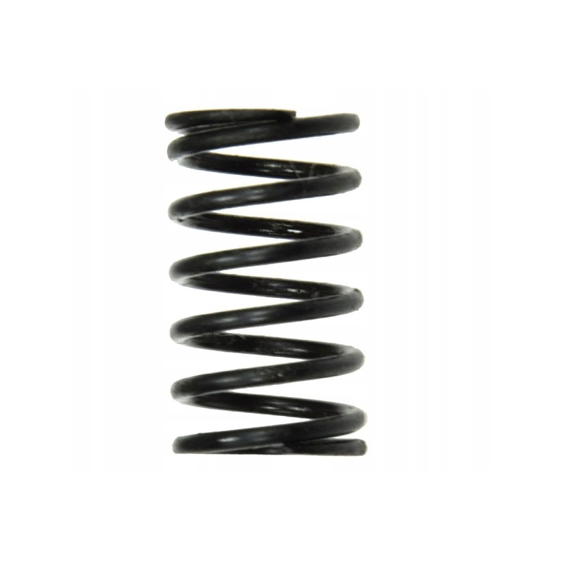 Distributor spring for c 360 50581510 product pl