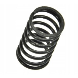 Distributor spring for c 360 50581510 product pl