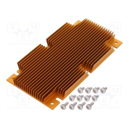 1 pcs x Advanced Thermal Solutions - ATS-1109-C1-R0 - Heatsink: extruded, grilled, BGA, golden, L: 117mm, W: 61mm, H: 11.4mm