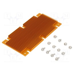 1 pcs x Advanced Thermal Solutions - ATS-1108-C1-R0 - Heatsink: extruded, grilled, BGA, golden, L: 117mm, W: 61mm, H: 6.1mm