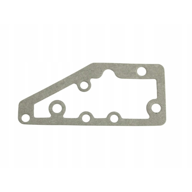 Thermostat housing gasket mf 3 0490452