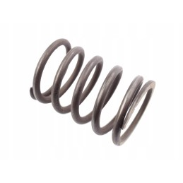 Valve outer spring c 385 89005501 80005013