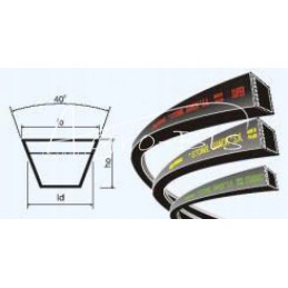 Strap 20 1950 reinforced