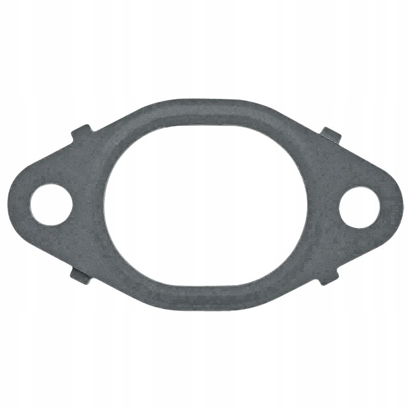 Exhaust manifold gasket 38012439