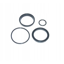 Power steering seal kit